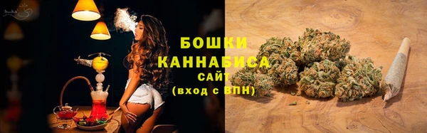 молекула духа Белокуриха