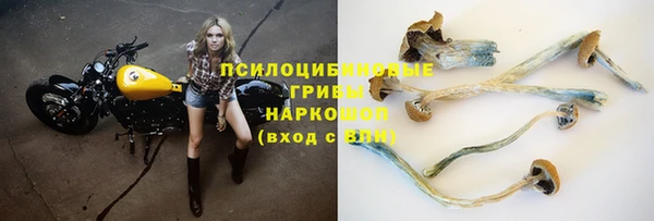 молекула духа Белокуриха