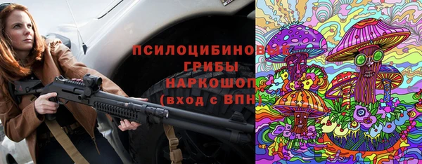 молекула духа Белокуриха