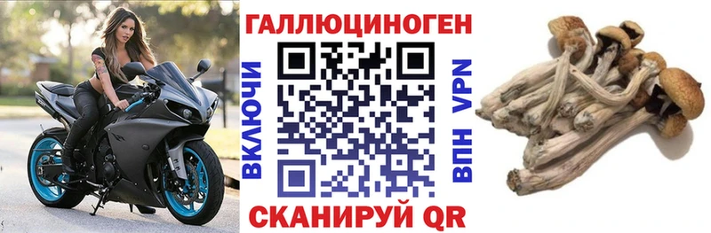 Псилоцибиновые грибы ЛСД  гидра сайт  Вуктыл 
